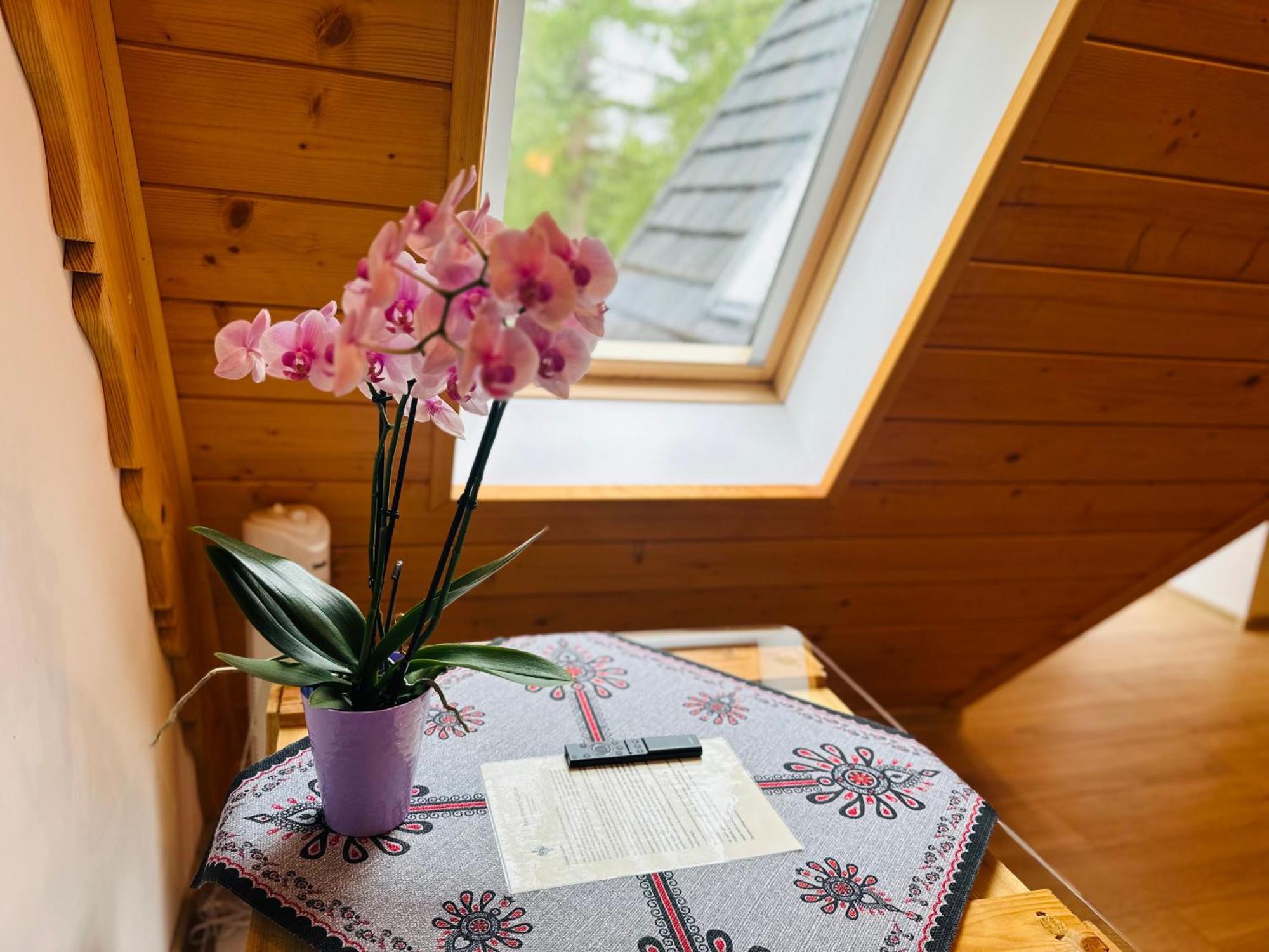Apartamenty Krokiew Закопане Экстерьер фото